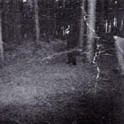 Rendlesham Forest UFO incident - UFO sightings