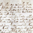 The text - Voynich Manuscript
