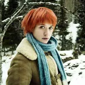 The Disappearing Illusionist 2015 mystery movie