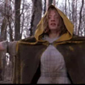 The Village 2004 mystery movie